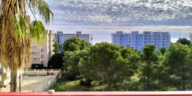 WhatsApp Image 2025-12-02 at 12.27.13 (1)