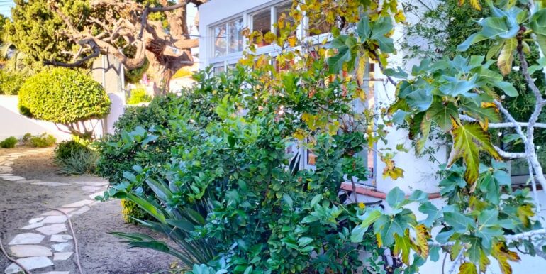 WhatsApp Image 2025-12-03 at 12.41.50 (2)