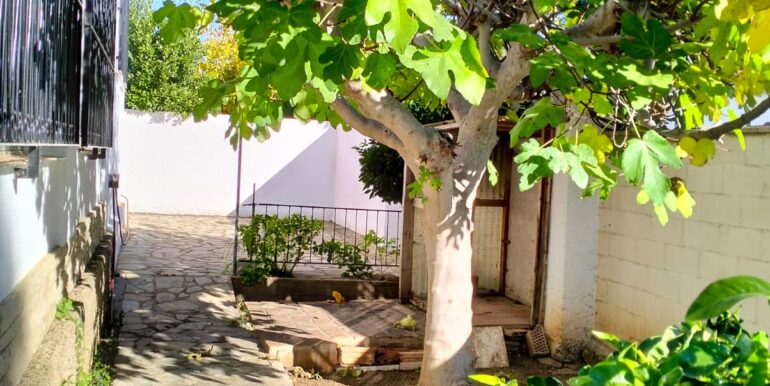 WhatsApp Image 2025-12-03 at 12.41.52 (1)