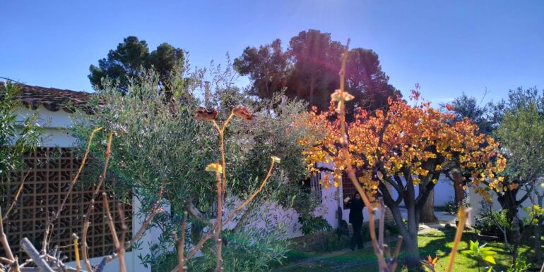 WhatsApp Image 2025-12-03 at 12.41.54 (1)