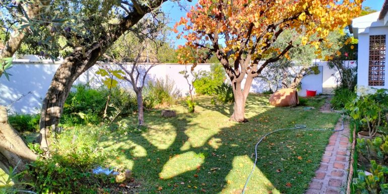 WhatsApp Image 2025-12-03 at 12.41.55 (2)