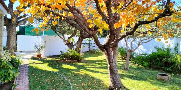 WhatsApp Image 2025-12-03 at 12.41.55