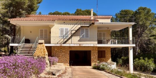 Chalet Sant Jordi