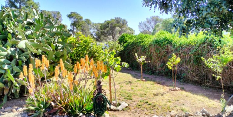 WhatsApp Image 2026-04-28 at 11.49.10