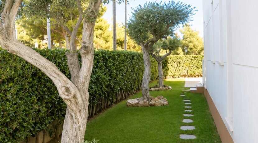 jardin