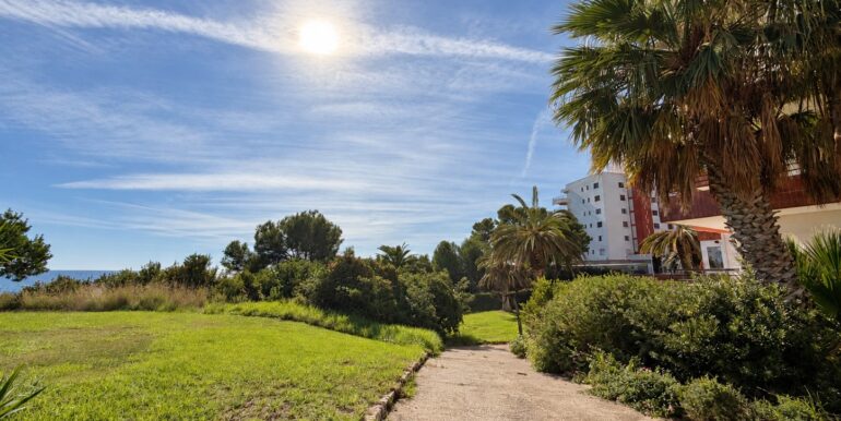 jardin1