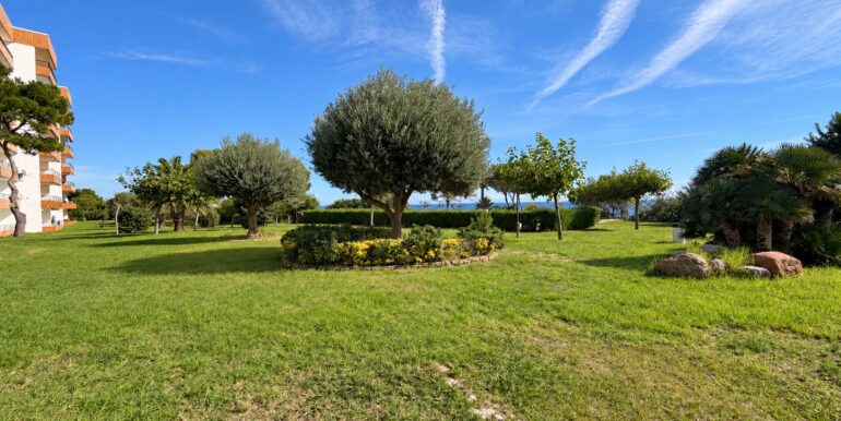jardin2