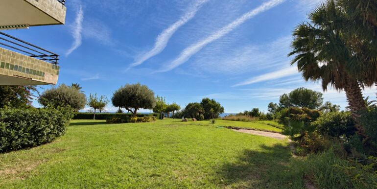 jardin4