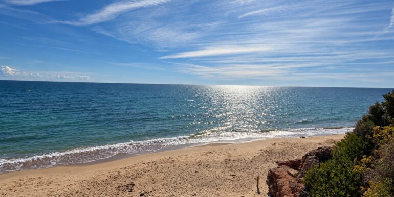vistas1
